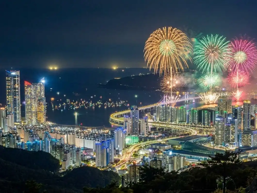 湾の上の花火と夜の街の明かり